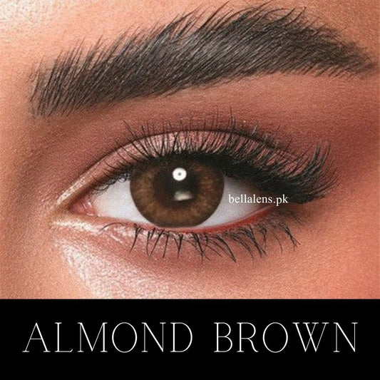 Bella Almond Brown – Oneday Collection
