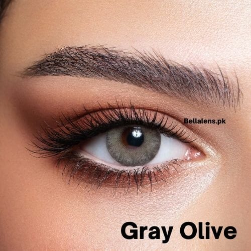 Bella Grey Olive Contact Lenses – Elite Collection