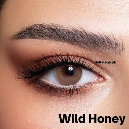 Bella Wild Honey Contact Lenses – Elite Collection