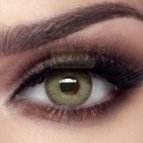 Bella Grey Olive Contact Lenses – Elite Collection