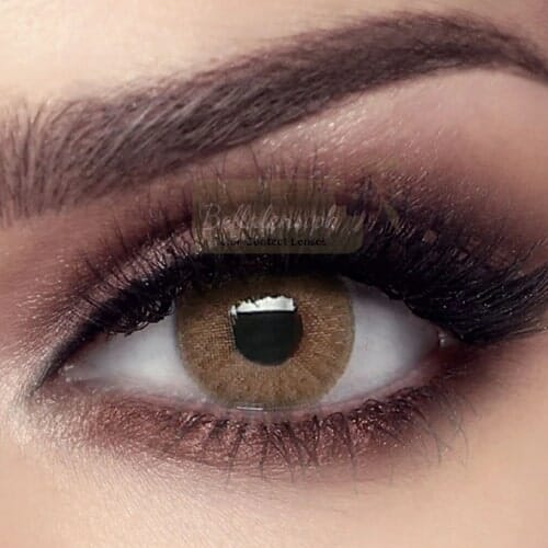 Bella Wild Honey Contact Lenses – Elite Collection